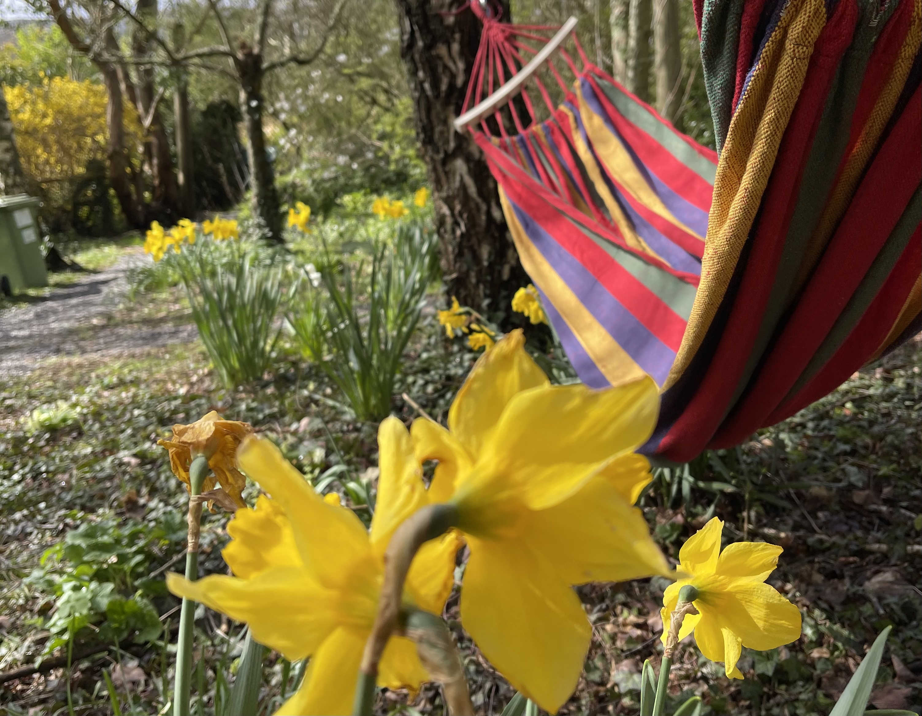 Hammock relaxation 