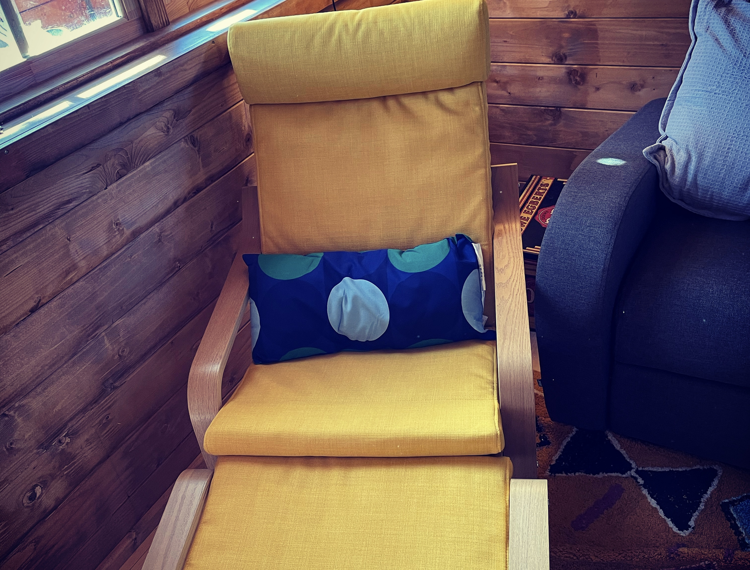 Photo of Retro Lodge nr Dartmoor with hot tub & opt sauna (30)