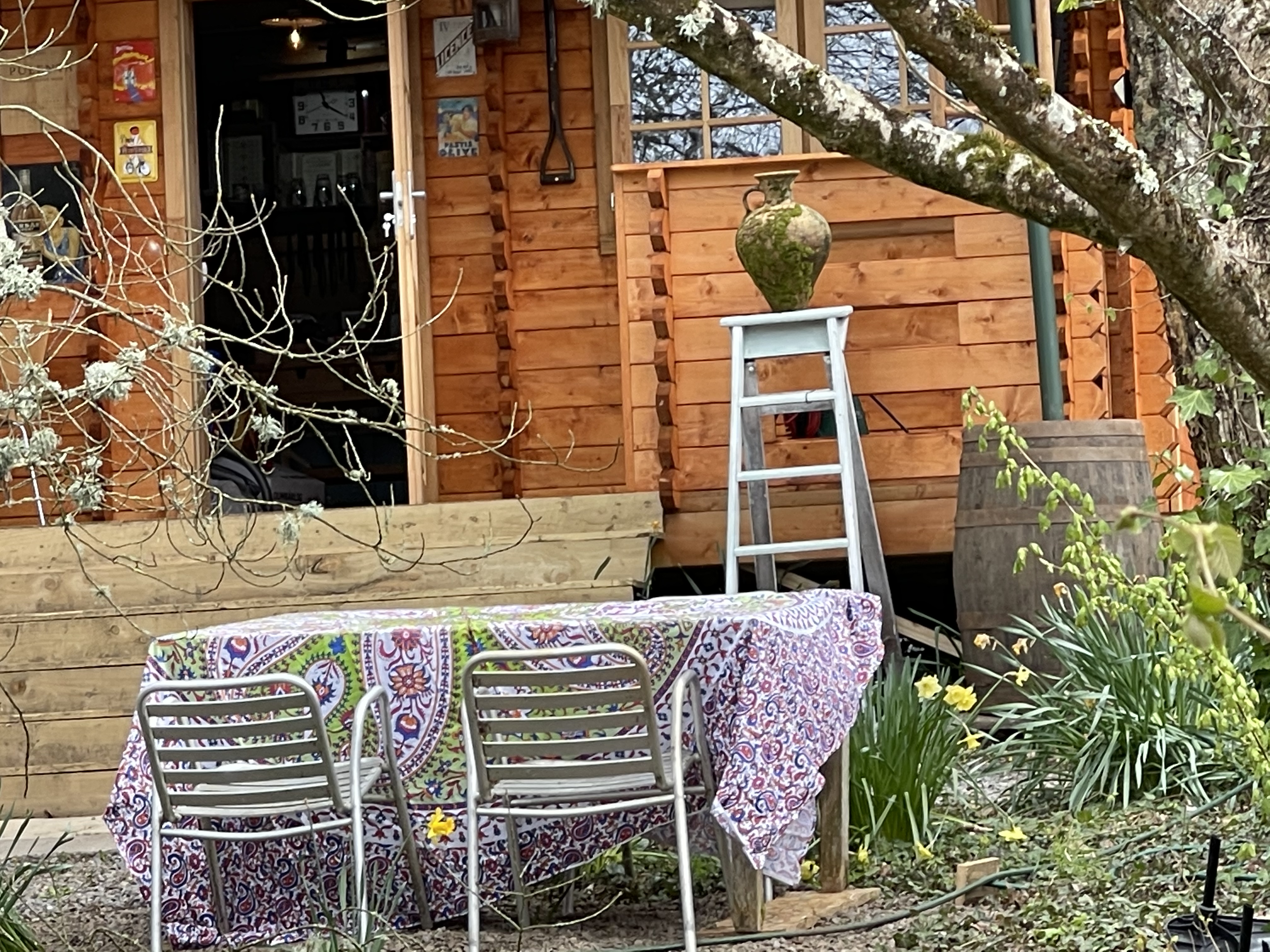 Photo of Retro Lodge nr Dartmoor with hot tub & opt sauna (17)