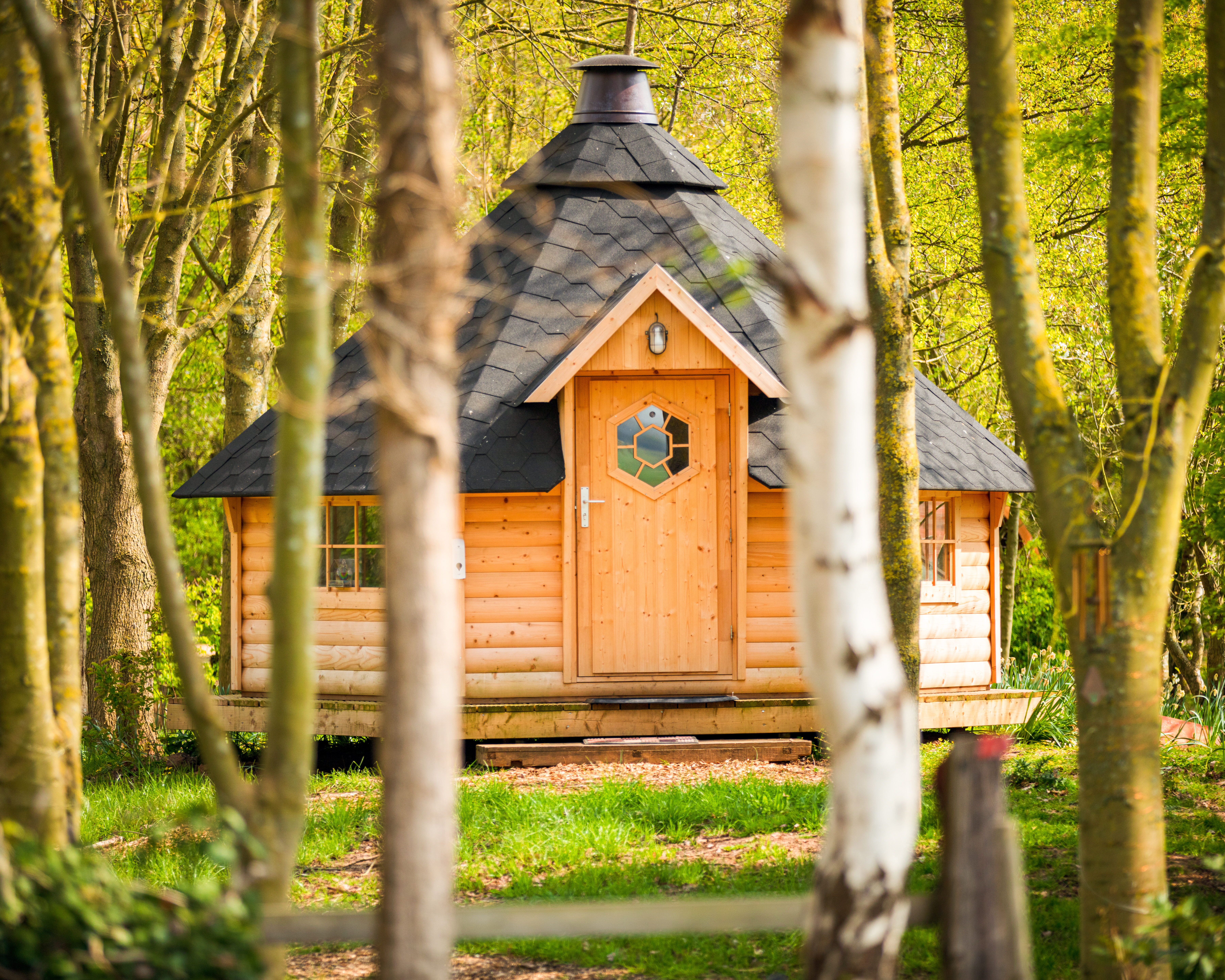 Photo of Swan Lodge With Hot Tub, Sauna and Treatments (14)