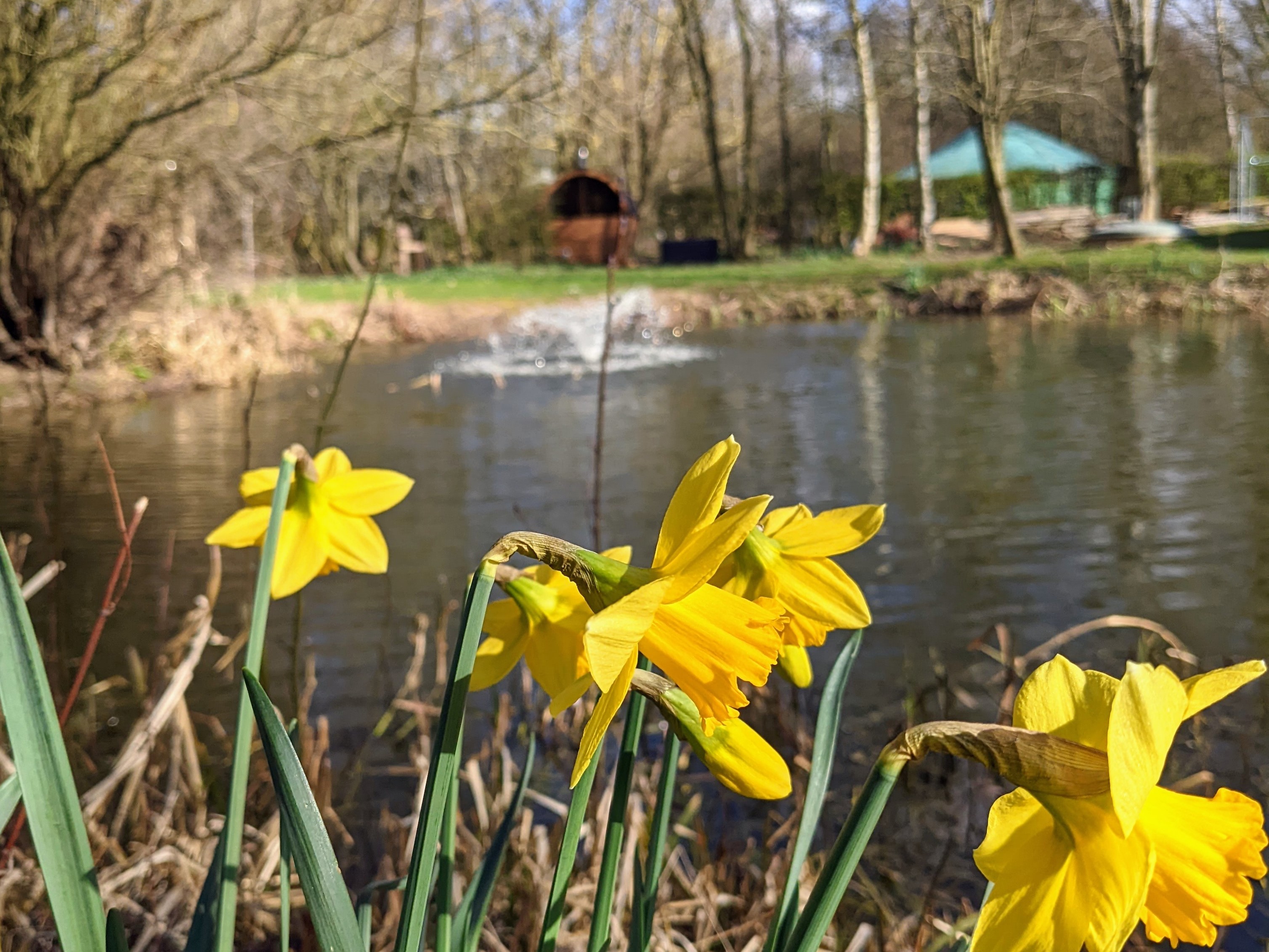 Photo of Swan Lodge With Hot Tub, Sauna and Treatments (16)