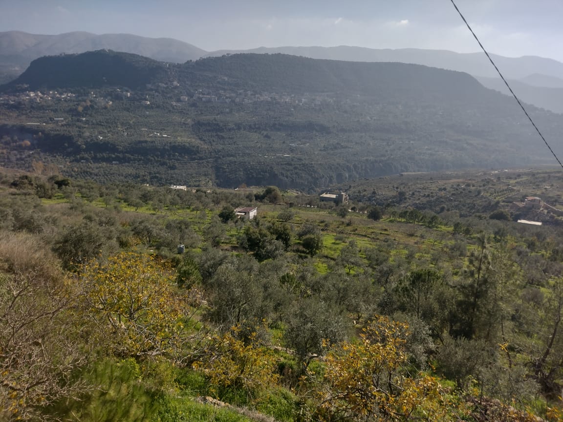 Photo of Authentic Chalet in the heart of shouf - 5 people (7)
